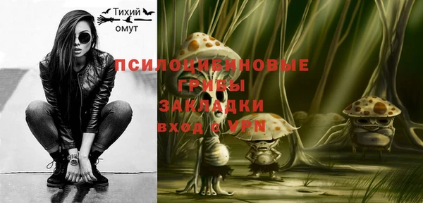 гидра Нязепетровск